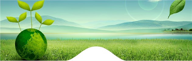 主要業(yè)績(jī)